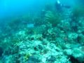 British Virgin Islands Video