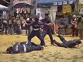 silat cekak hanafi
