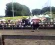 Kür Anky & Krack C tijdens Ascot in Rhoon