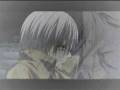 Vampire Knight AMV [Doushite Kimi Wo Suki Ni Natte Shimattandarou]