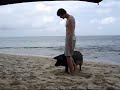 Lost - Capoeira pig on the beach