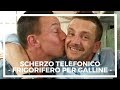 Scherzo telefonico - vendita frigorifero x galline