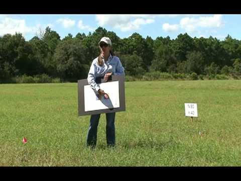 how to fertilize bermuda grass