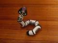 RoboBoa-in-Action