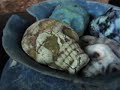ceramics : \"A-pot-calyptic\" ceramics : \"A-pot-calyptic\"