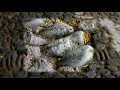 Pavimentos de Piedra / La Piel del Suelo