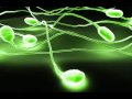 A random choon I made using an MC 505 roland groovebox. Recorded live using audacity... Enjoy ;) I am currently looking for musicians to collaborate with mainly for vocals, sampling and track editing using various PC software. If this sounds appealing get in touch