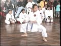 Kata Seiyunchin - Xena Ccapa