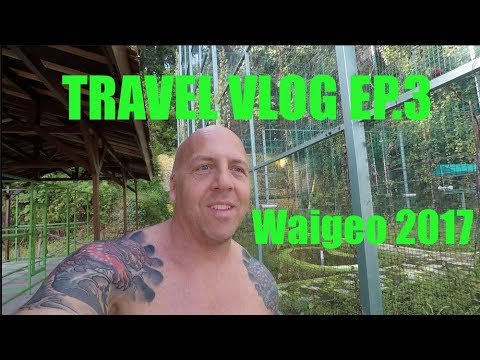 YouTube reptile video