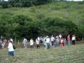 videos de Plantio de Árvores no Rio Formiga em Ortigueira, Paraná. Ação conjunta da Copel, Eletrosul e Governo do Município de Ortigueira para o programa de implantação da Usina Mauá.
