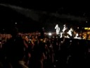 Ligabue
