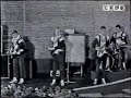 the spotnicks amapola