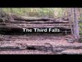 videos de Three Falls Woods