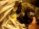 Its bedtime already Its bedtime already