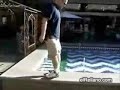 Caminado especial