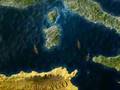 Punic wars