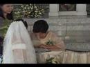 wedjj7