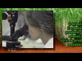 Pro �lcool - Etanol - Ethanol - Parte 2 de 2