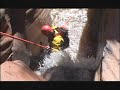 Zion Canyoneering