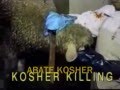 VEDDAS: Imagens de exploração animal e de nossas ações