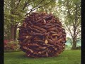 Andy Goldsworthy