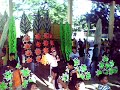 mpycc c.o.m with mabolo sinulog sa kabataan