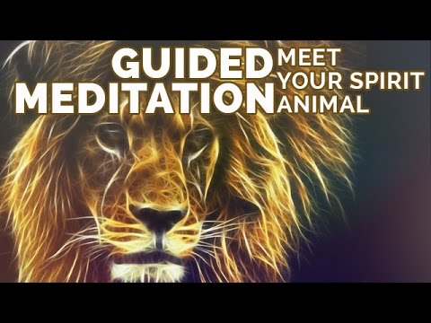 how to discover your animal spirit guide