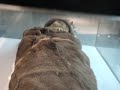 The Loulan Mummy