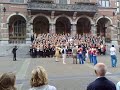 Albertus - Jaar \