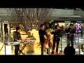 Zebedee@Live CNY! 祝福你x迎春花x歡樂年年