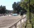 medioeval horse