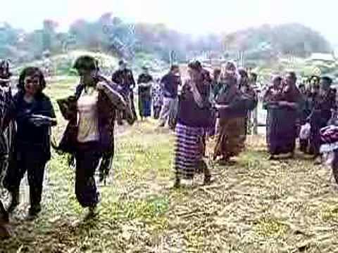 Sulawesi Funeral Pig Offerings