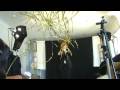 videos de Party Flash Streamers (Metallic Gold, Silve, Multi-color) / SEO MAGIC USA