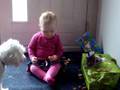 videos de Sinterklaas is geweest