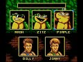 battletoads/double dragon for nes it's actually way more of a battletoads game than a double dragon game but eh, what are ya gonna do.