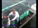 Medved Travel Agency (Part 7/7-Siargao) Medved Travel Agency (Part 7/7-Siargao)
