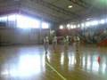 conexiones c.s.c 2007