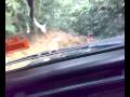 4x4 raja hutan
