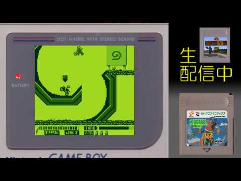 動画