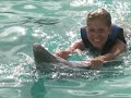 Dolphin Swim, Isla Margarita