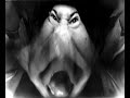 Anamorph