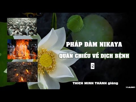 Pháp Đàm NIKAYA - Quán Chiếu Về Dịch Bệnh 2