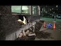 SURREY CAR CRASHED INTO PUBLIC LIBRARY AT LINCOLN DR & 105 AVE HANDY CAP PARKING SPOT FEB 28 2012 BY BCNEWSVIDEO