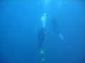 boreas/palamos 2007