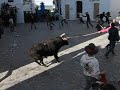 ToRo EmB0La0 2008,,, recojida del 2� ToRo(2� parte)