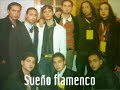 sueño flamenco    maketa   