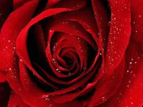 groupe kelma outline