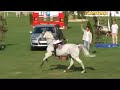 fei nations cup of croatia,21-24 september 2006, hipodrom zagreb
c. - net film studio