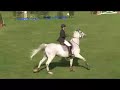 fei nations cup of croatia,21-24 september 2006, hipodrom zagreb
c. - net film studio