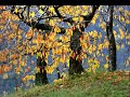Autunno in Valpolicella
